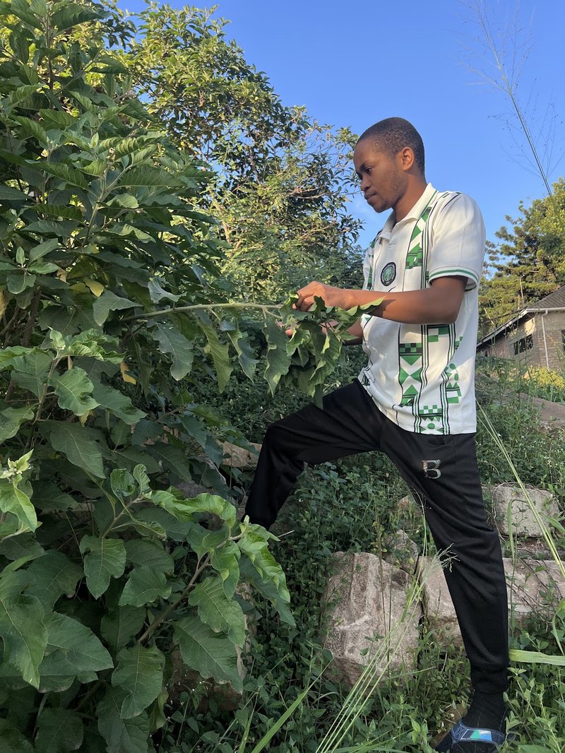 Bitter leaf: The joy of finding a home delicacy in a foreign land